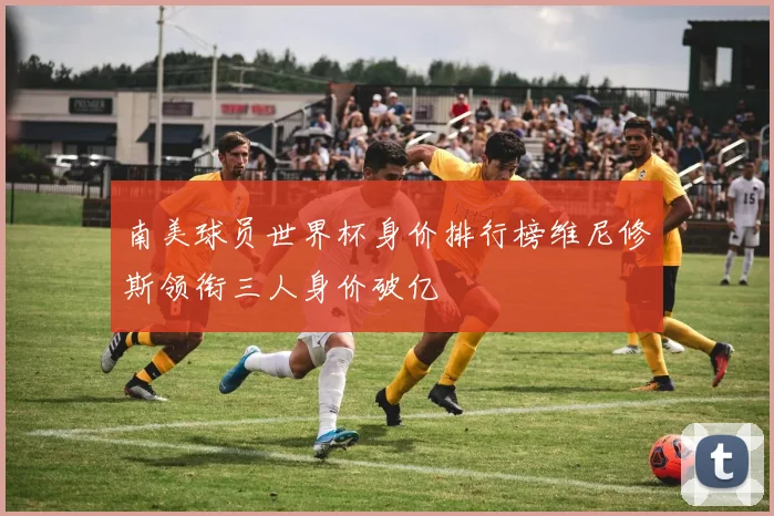 南美球员世界杯身价排行榜维尼修斯领衔三人身价破亿