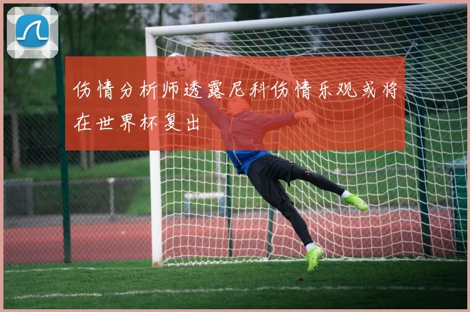 伤情分析师透露尼科伤情乐观或将在世界杯复出