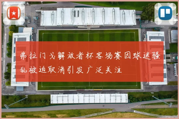 弗拉门戈解放者杯客场赛因球迷骚乱被迫取消引发广泛关注